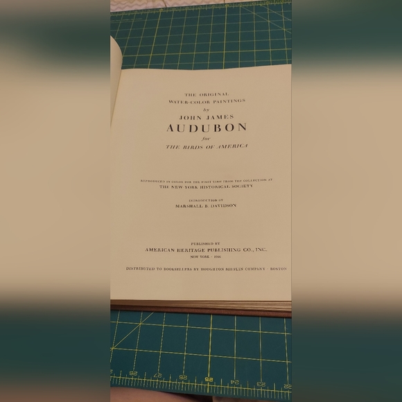 Bald Eagle Plate 106, John James Audubon - Picture 3 of 4